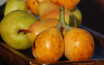 Comment se mangent les nèfles?