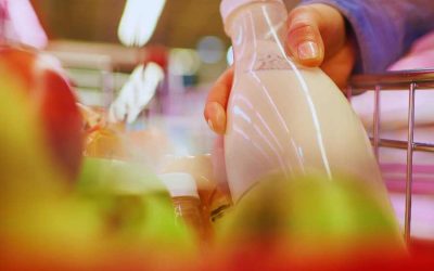 Grand comparatif 2025 des yogourts au Québec (grec, skyr, kéfir) : comment choisir le meilleur pour toi